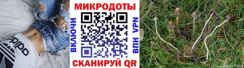 где купить наркотик  Полысаево  Галлюциногенные грибы мухоморы 