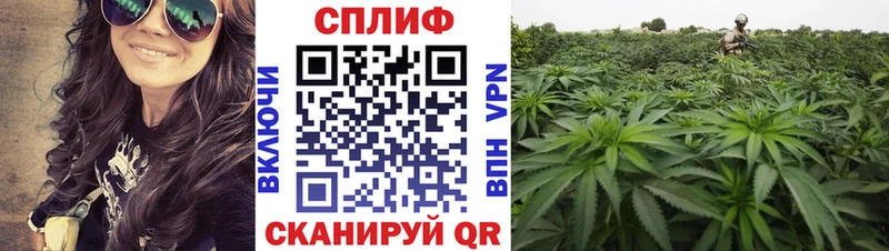 Бошки Шишки LSD WEED Полысаево